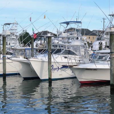 Opportunaty Fishing Adventures