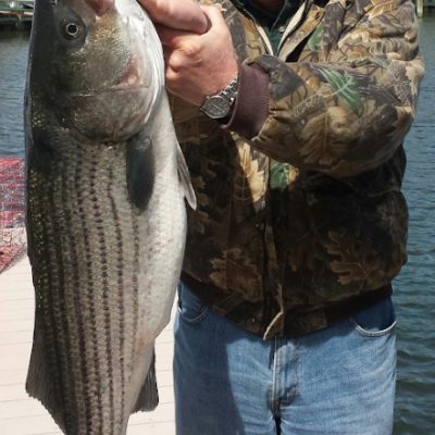 Striped bass fishing trips ocean city maryland